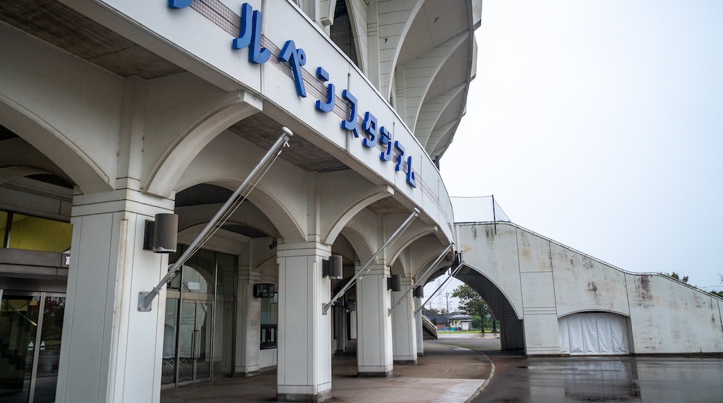 Toyama gem. honkbalstadion Alpen-stadion