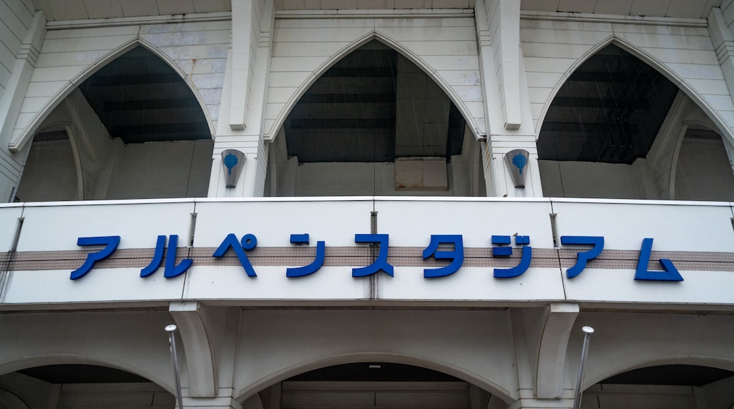 Stadio Toyama Municipal Baseball Stadium Alpen