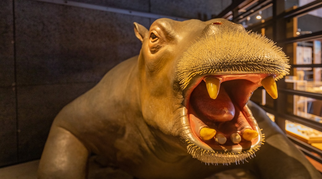 Museo della Scienza di Toyama