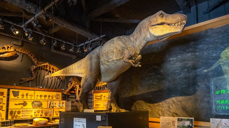 Toyama Science Museum