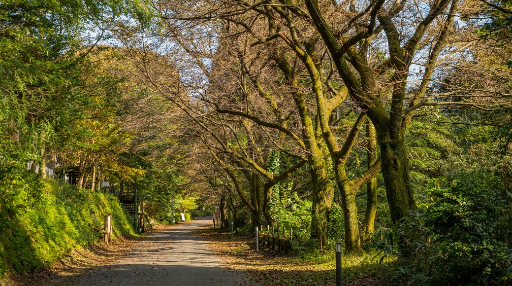 富山市家庭公園