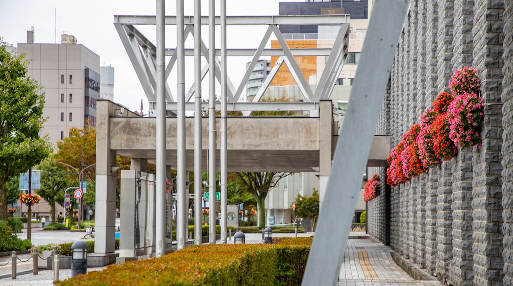 富山市政府瞭望塔