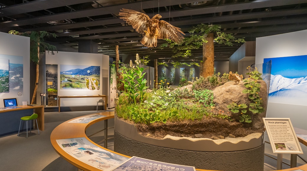 Museo della Scienza di Toyama