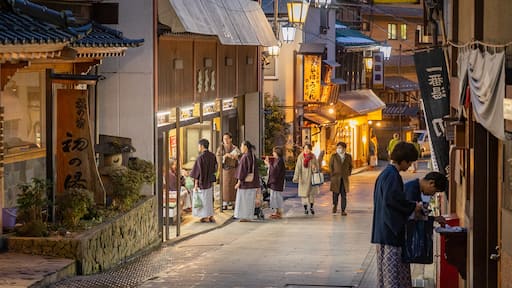 Onsen Yudanaka Shibu