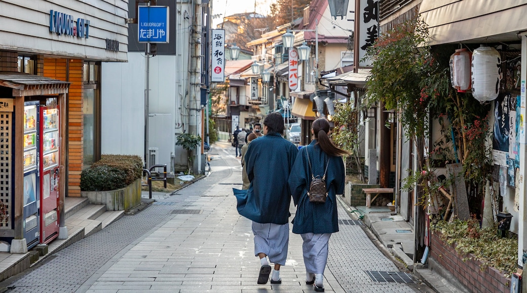 Yudanaka Shibu Onsen