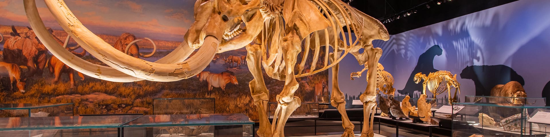 Royal Alberta Museum featuring heritage elements