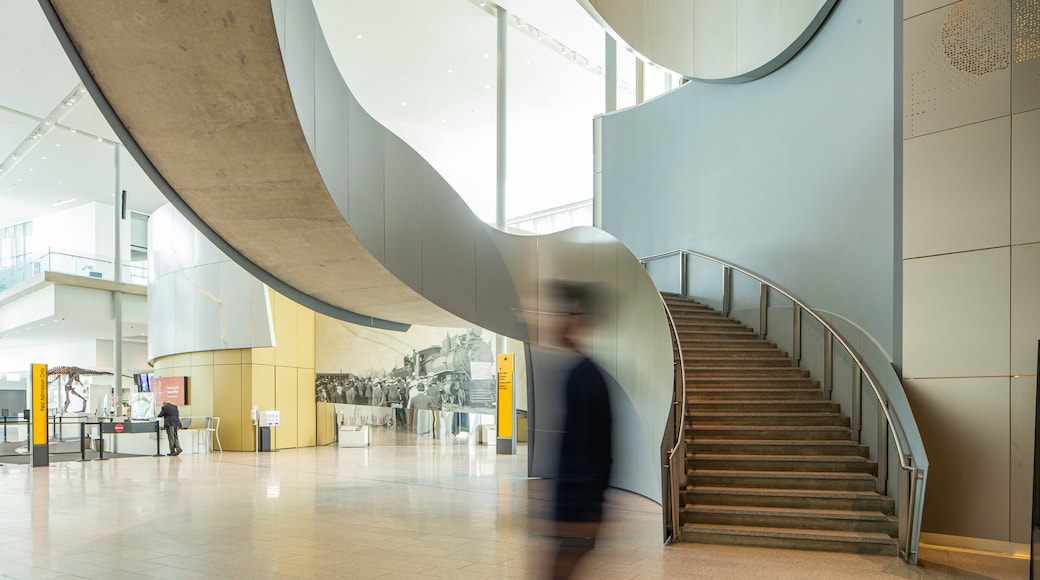 Royal Alberta Museum