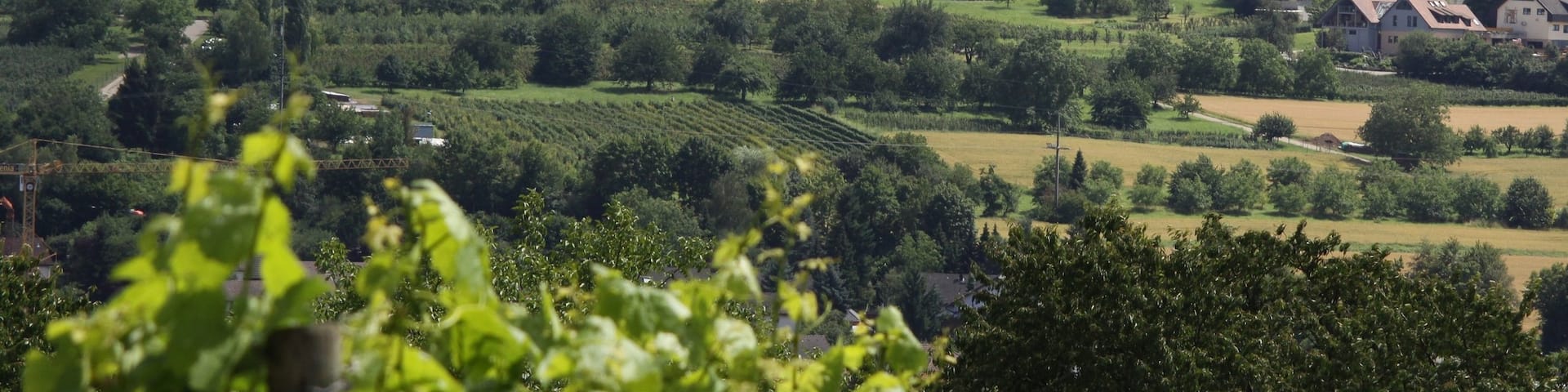 Weil am Rhein which includes a small town or village, landscape views and farmland