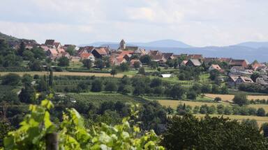Weil am Rhein which includes a small town or village, landscape views and farmland