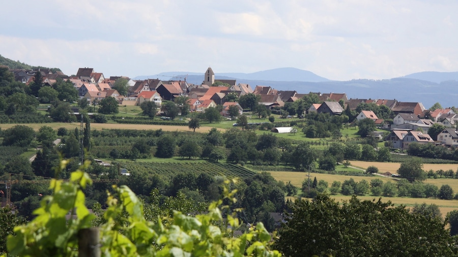 Weil am Rhein which includes a small town or village, landscape views and farmland