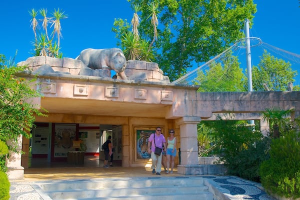 Lisbon Zoo featuring zoo animals as well as a couple