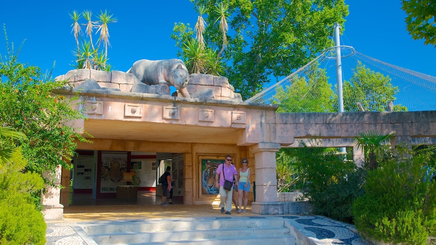 Zoo de Lisbonne mettant en vedette animaux de zoo aussi bien que couple