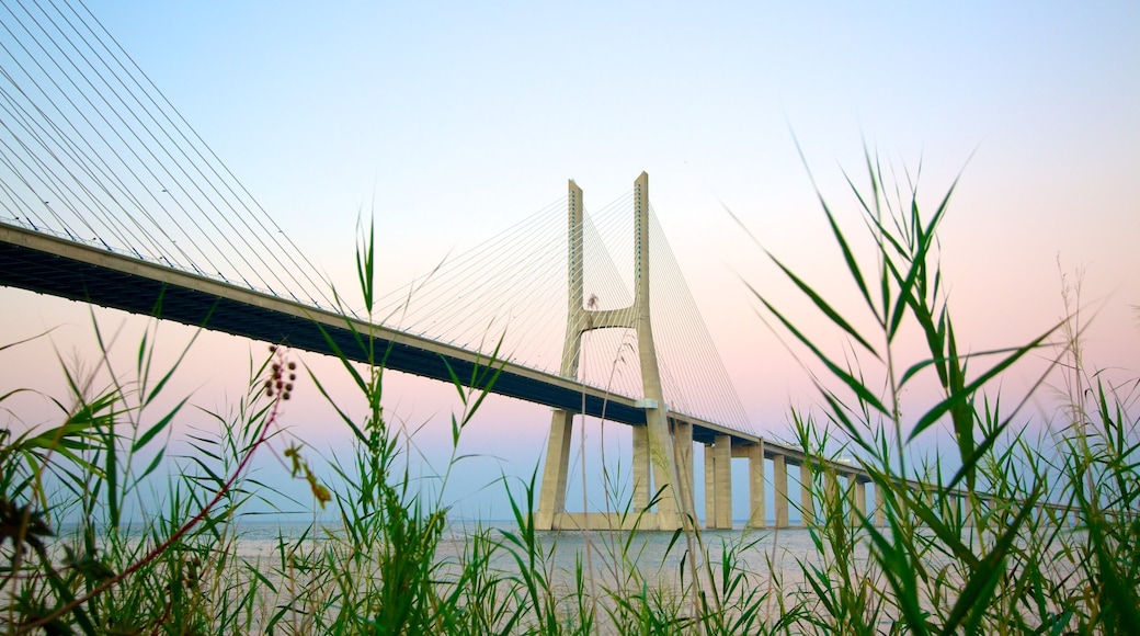 Puente Vasco da Gama ofreciendo un atardecer, vista general a la costa y arquitectura moderna