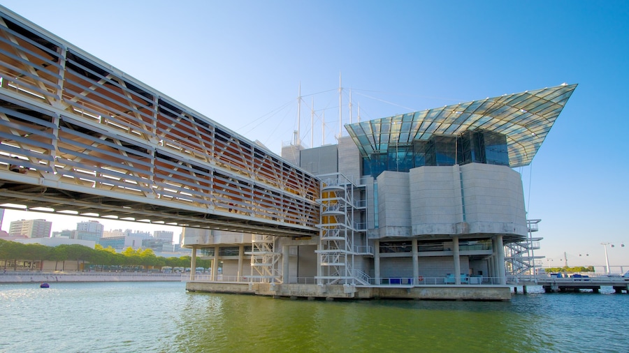 Lisbon Oceanarium which includes modern architecture, marine life and a bay or harbour