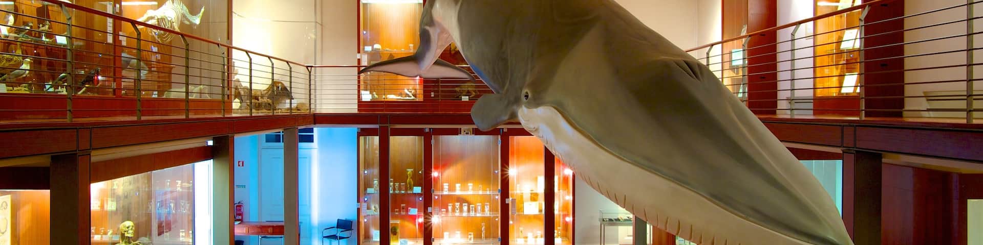 National Museum of Natural History which includes interior views