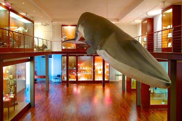 National Museum of Natural History which includes interior views