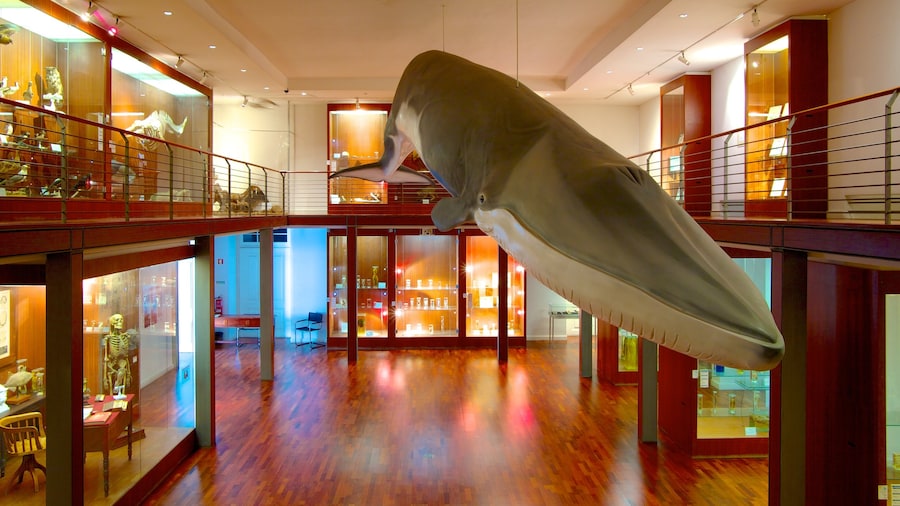 National Museum of Natural History showing interior views