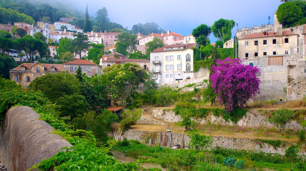 Sintra showing heritage architecture