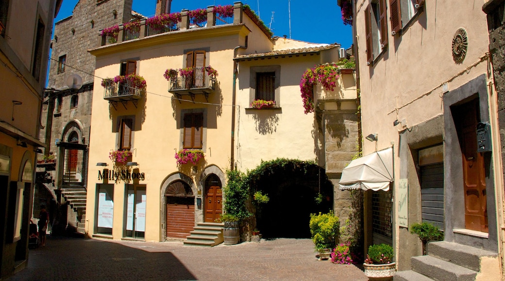 Viterbo showing a small town or village, a house and heritage architecture