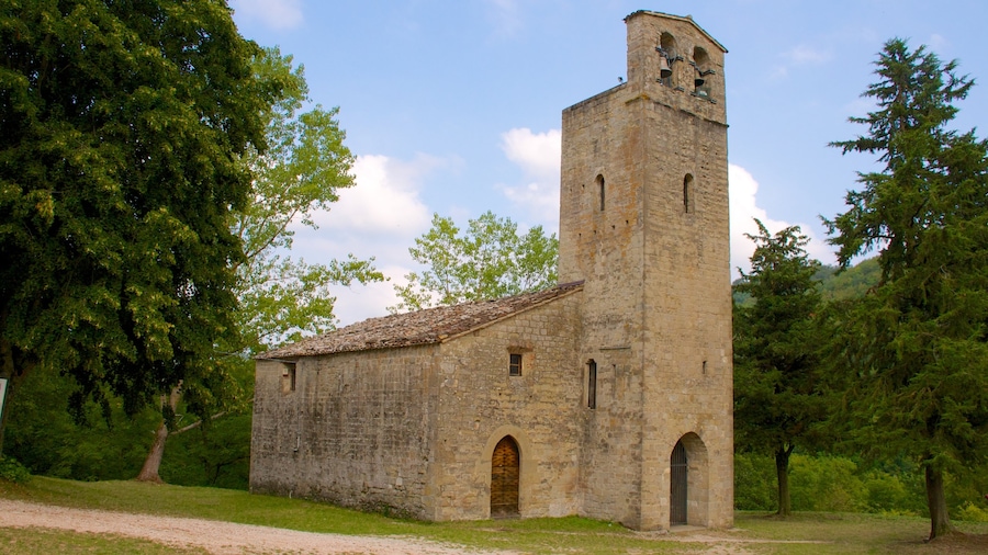 Montemonaco inclusief een kerk of kathedraal en historische architectuur