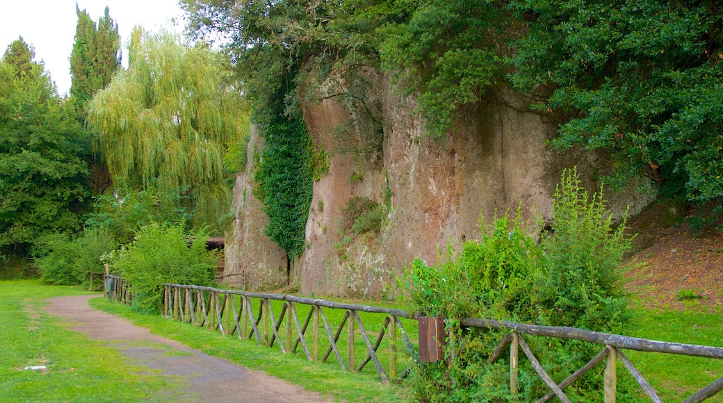 Sutri showing building ruins and a garden