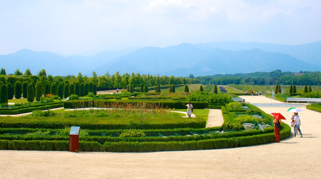 Turin showing a garden