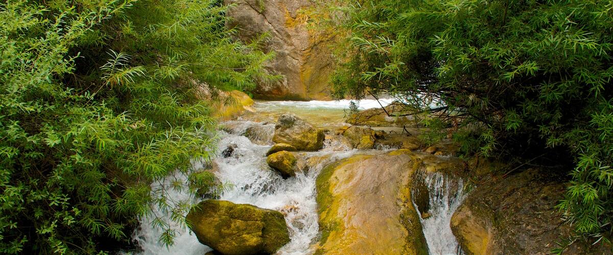 Italien das einen Wälder und Fluss oder Bach
