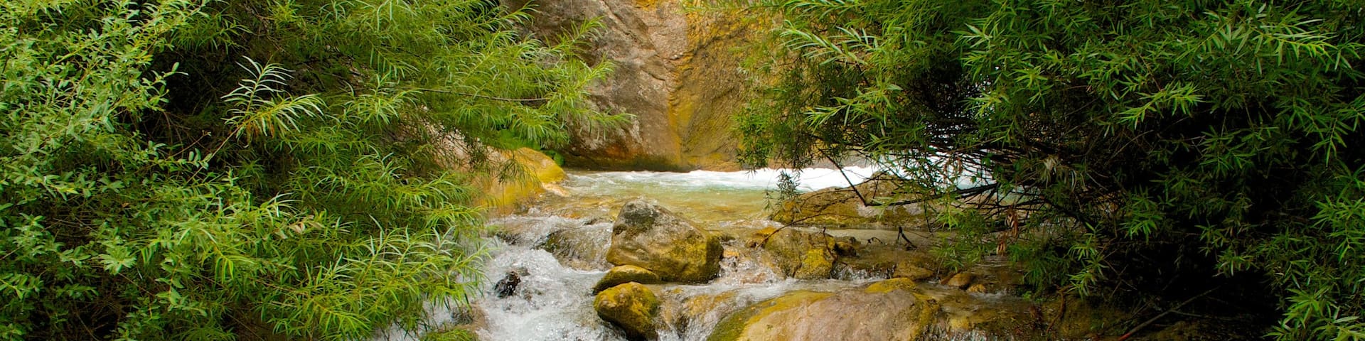 イタリア どの含み 森林の風景 と 河あるいは小川