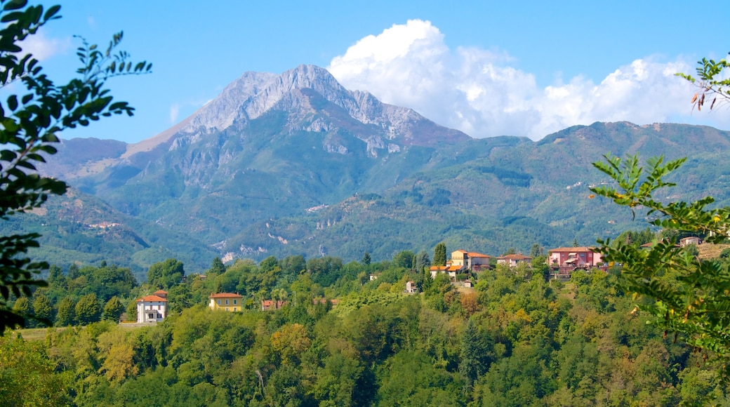 Barga som inkluderar en liten stad eller by och berg