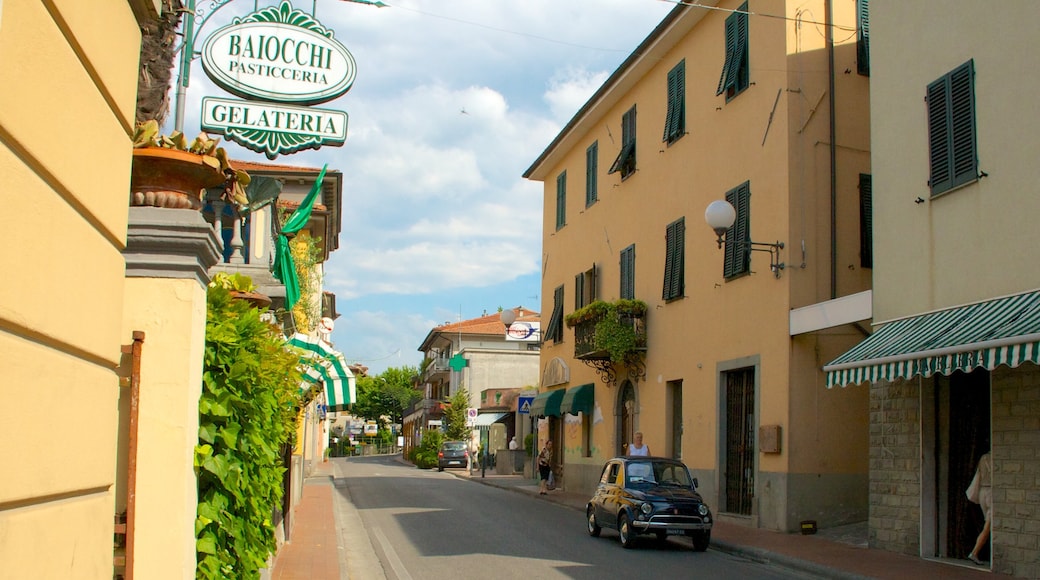 Barga featuring signage and a city