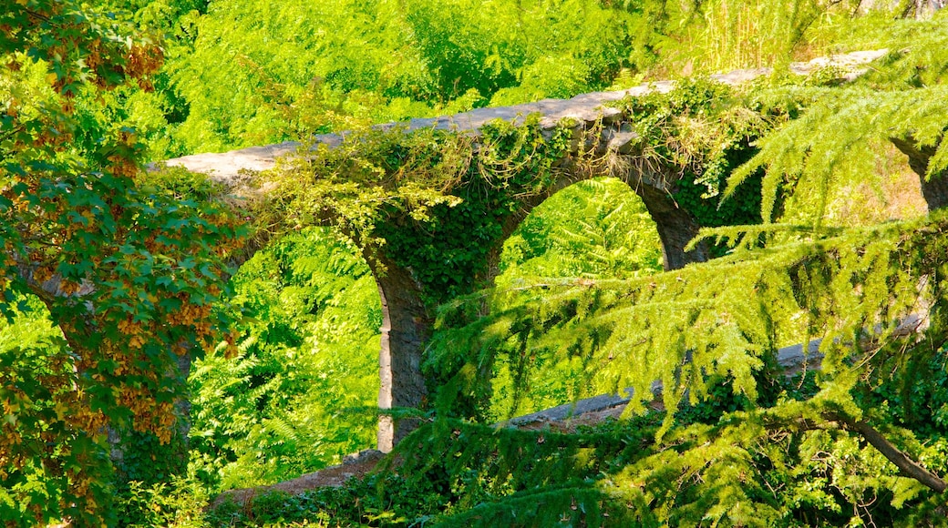 Barga showing heritage architecture and a garden