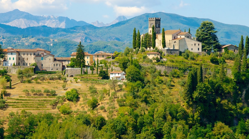 Barga showing farmland, a small town or village and mountains