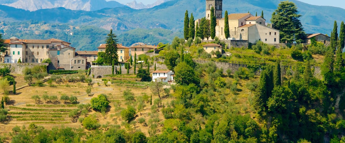 Barga mettant en vedette montagnes, ferme et petite ville ou village