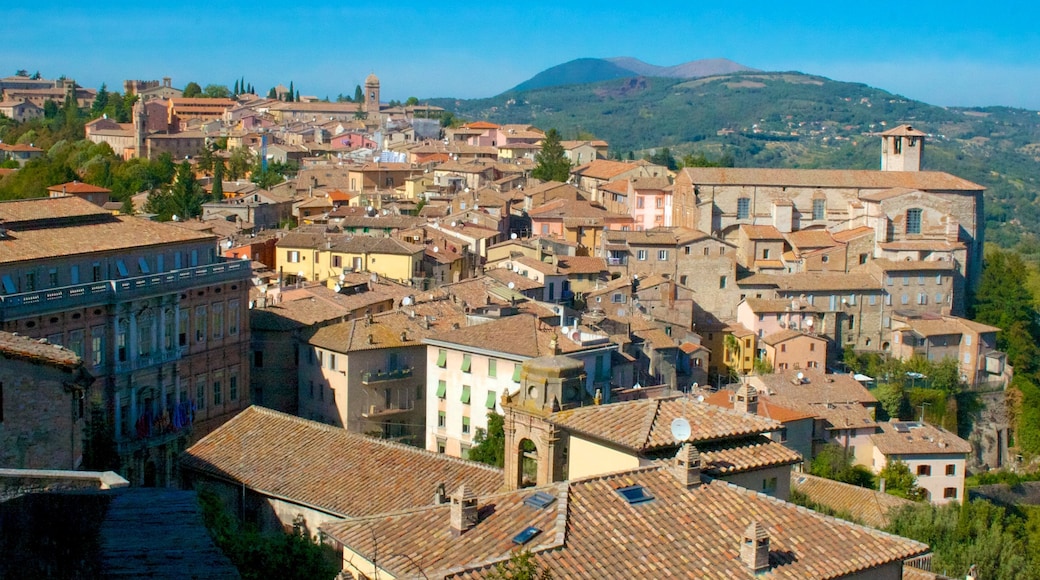 Perugia featuring a city