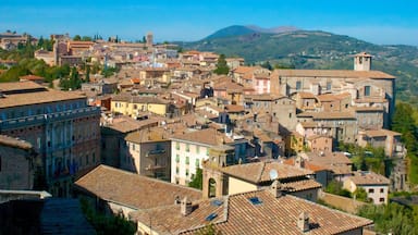 Perugia showing a city