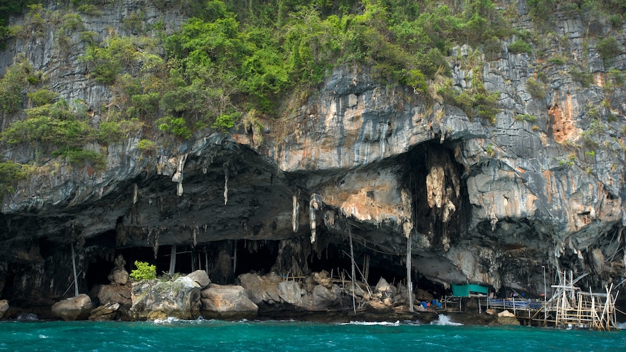 Maya Bay showing caves, rocky coastline and a bay or harbor