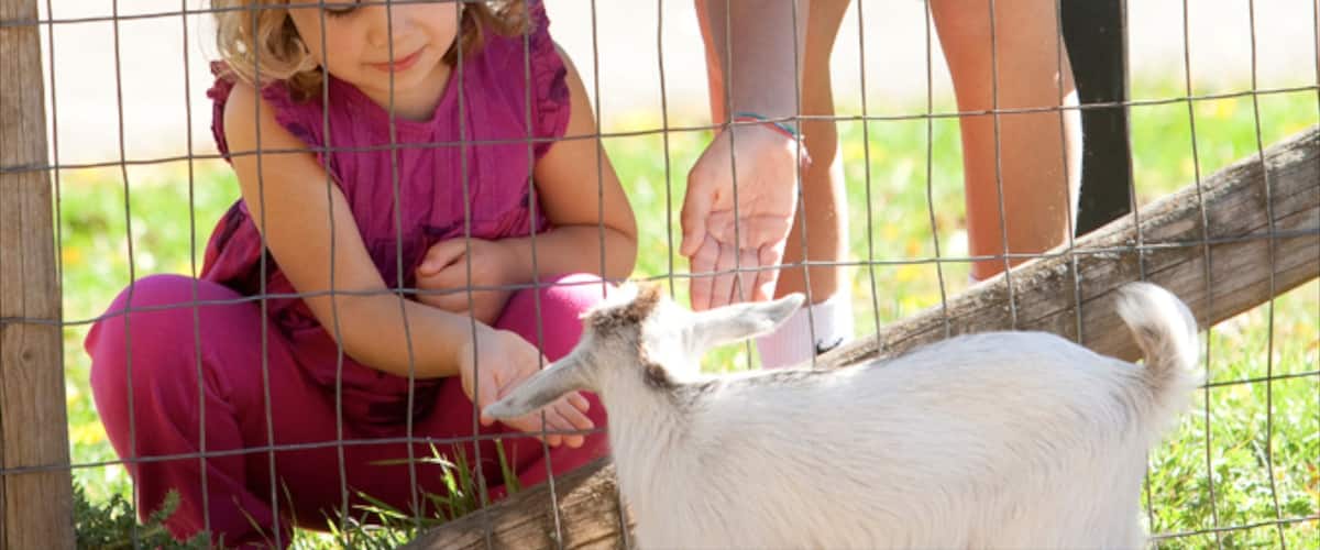 Bismarck featuring cuddly or friendly animals as well as an individual child