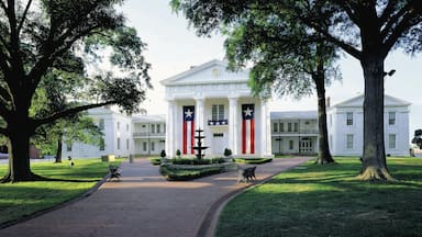 Little Rock som visar en administrativ byggnad, historiska element och historisk arkitektur