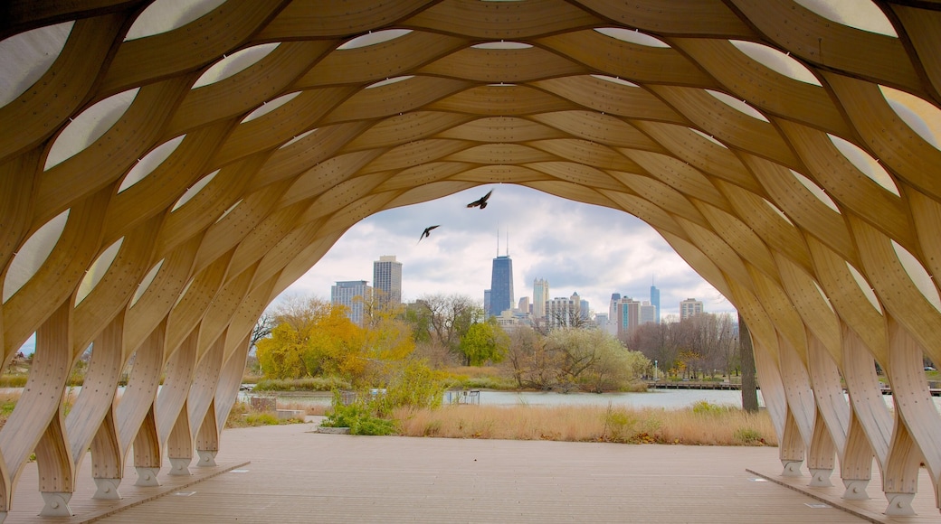 Lincoln Park showing modern architecture and a city