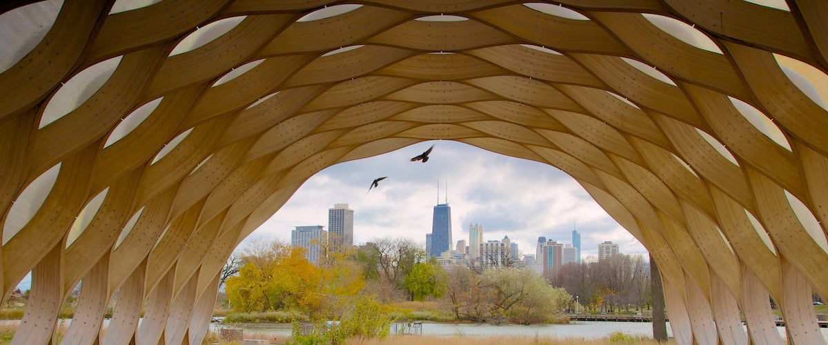 Chicago featuring a city and modern architecture
