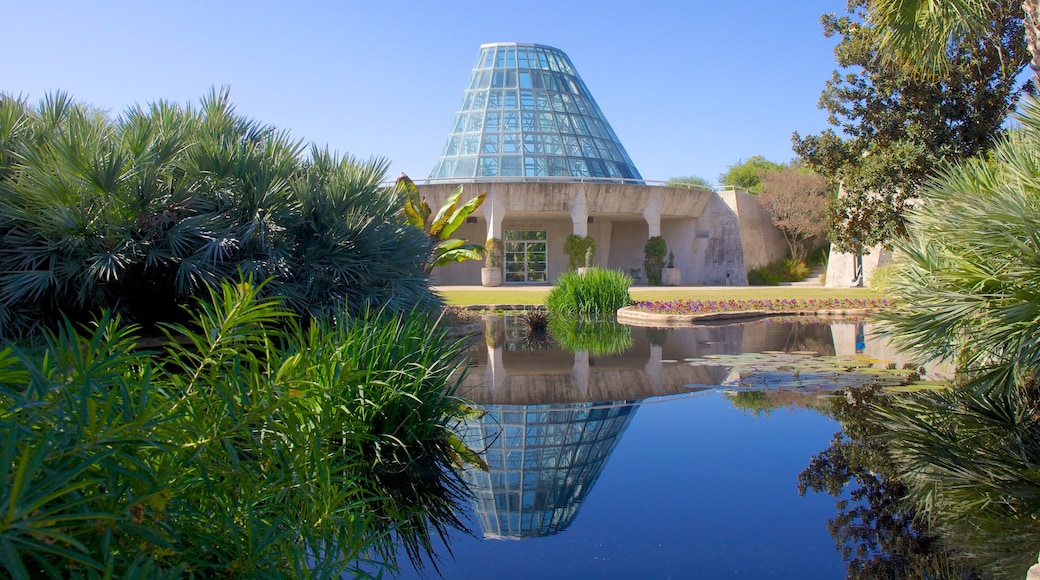 San Antonio Botanical Gardens showing modern architecture, a pond and a garden