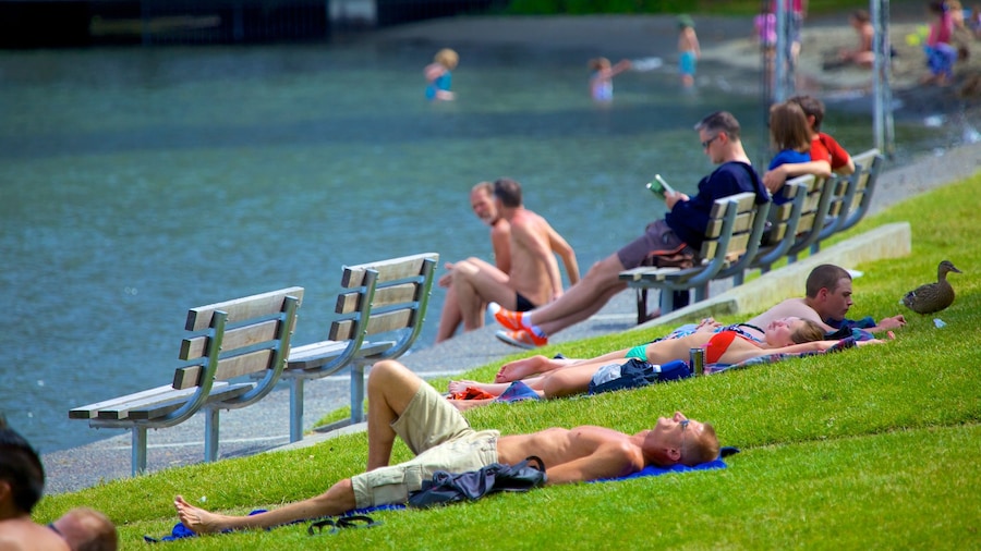 Seattle ofreciendo un lago o abrevadero y también un pequeño grupo de personas