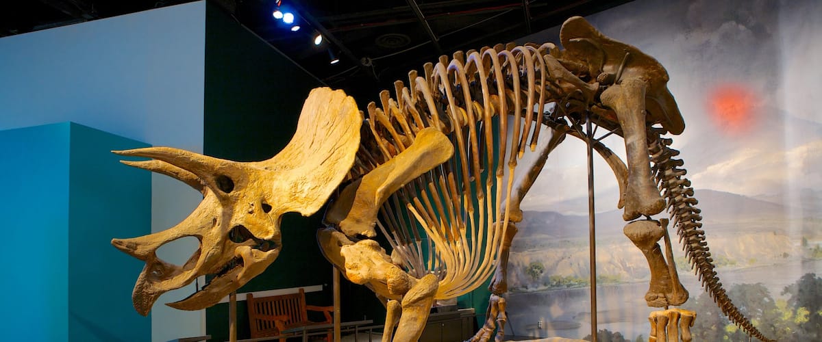 Science Museum of Minnesota featuring interior views