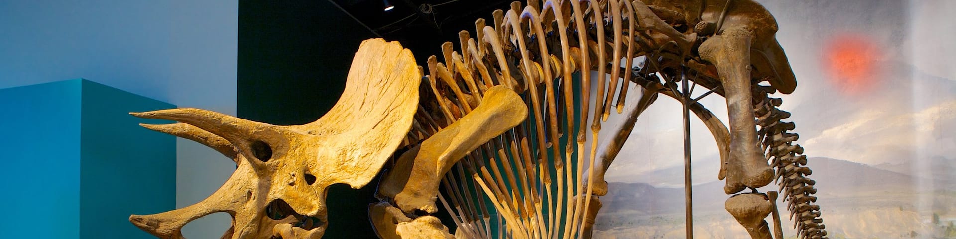 Science Museum of Minnesota featuring interior views