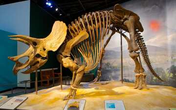 Visit Science Museum of Minnesota in Minneapolis - St. Paul ...