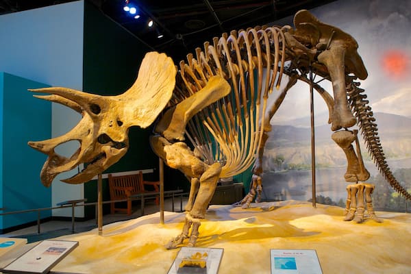 Science Museum of Minnesota caratteristiche di vista interna