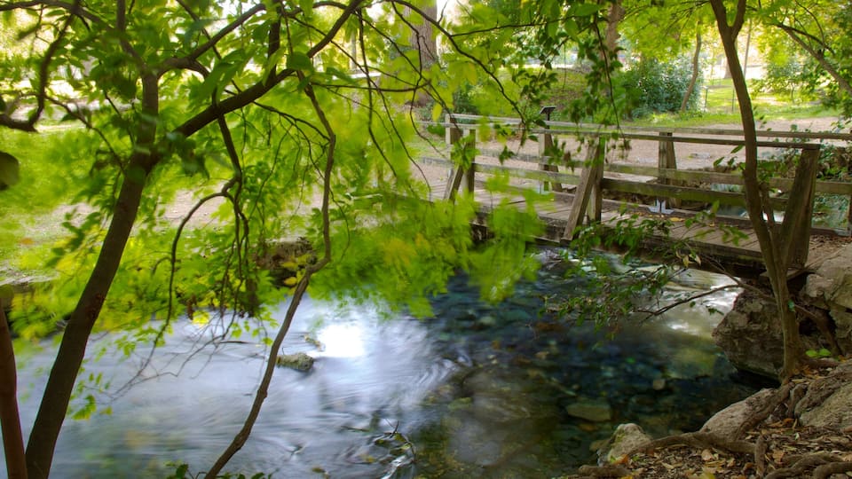 Landa Park showing a river or creek, a garden and a bridge