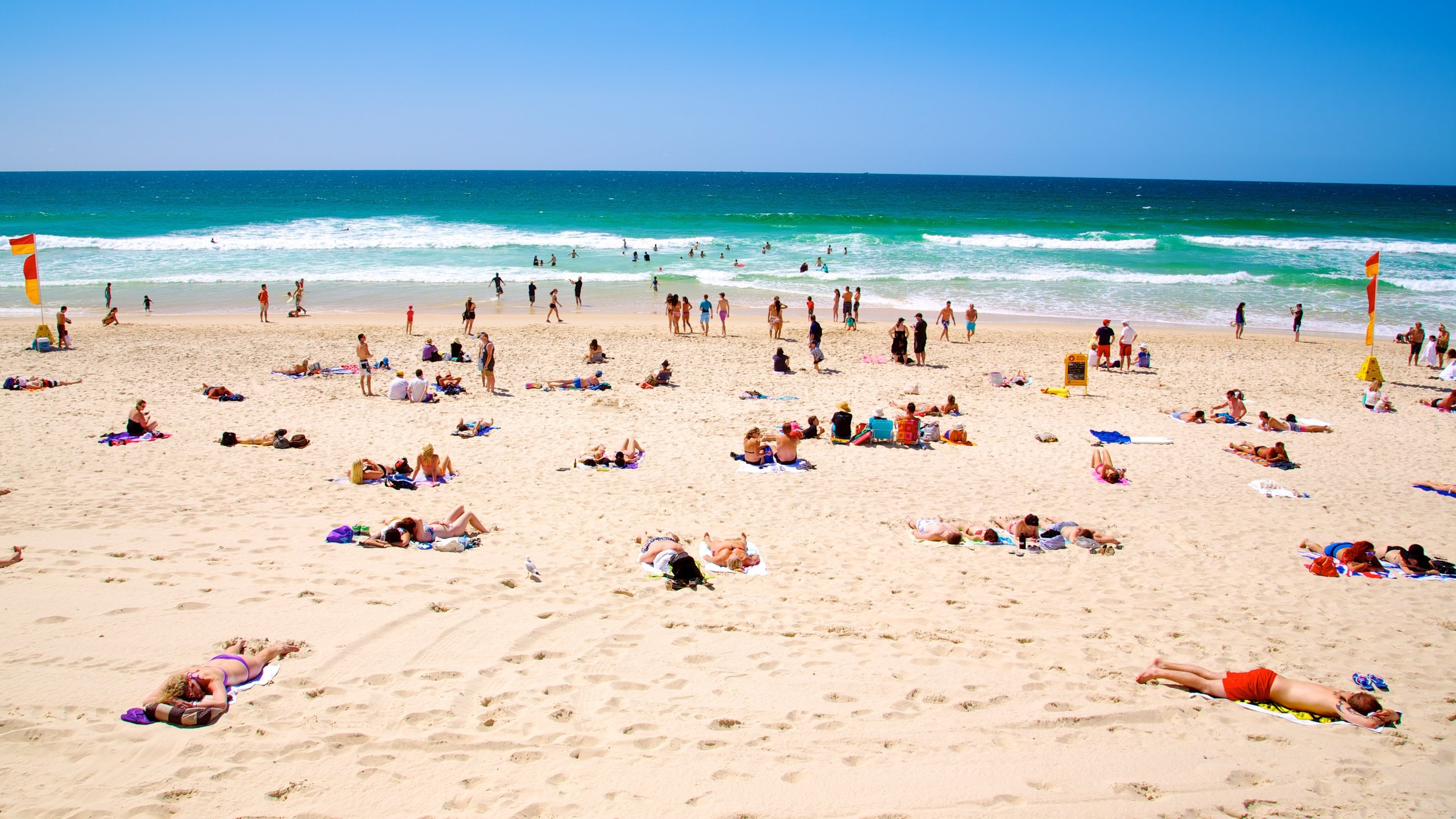 Surfers Paradise travel - Lonely Planet