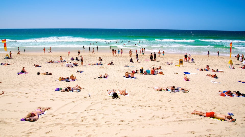 Surfers Paradise que incluye una playa de arena y vistas generales de la costa y también un gran grupo de personas