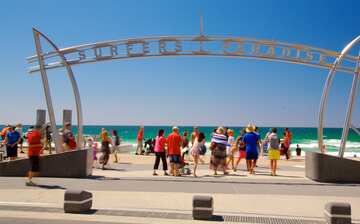 Visit Surfers Paradise Beach In Queensland Expedia Visit Surfers Paradise Beach In Queensland Expedia